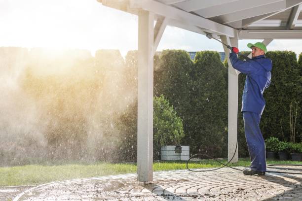 Best Soft Washing  in Buchanan, GA